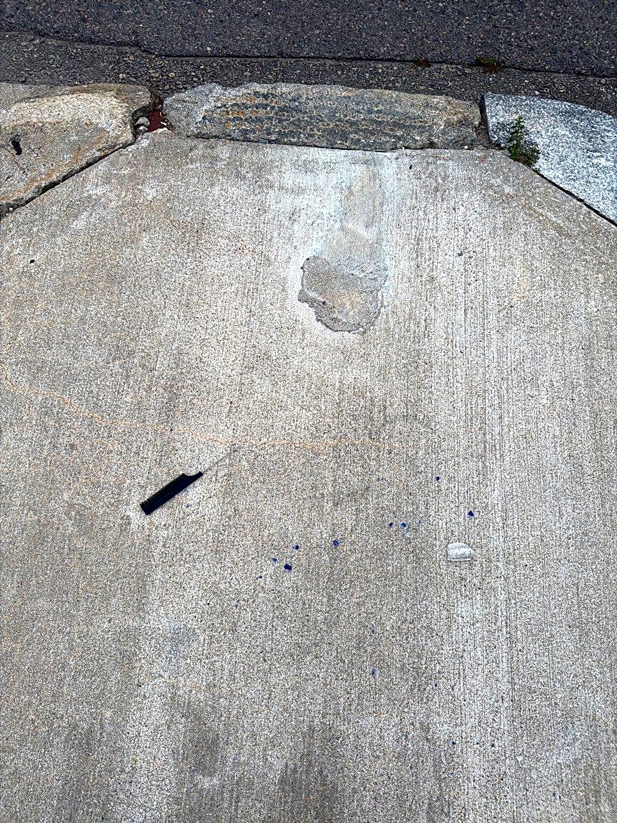 Image submitted with report