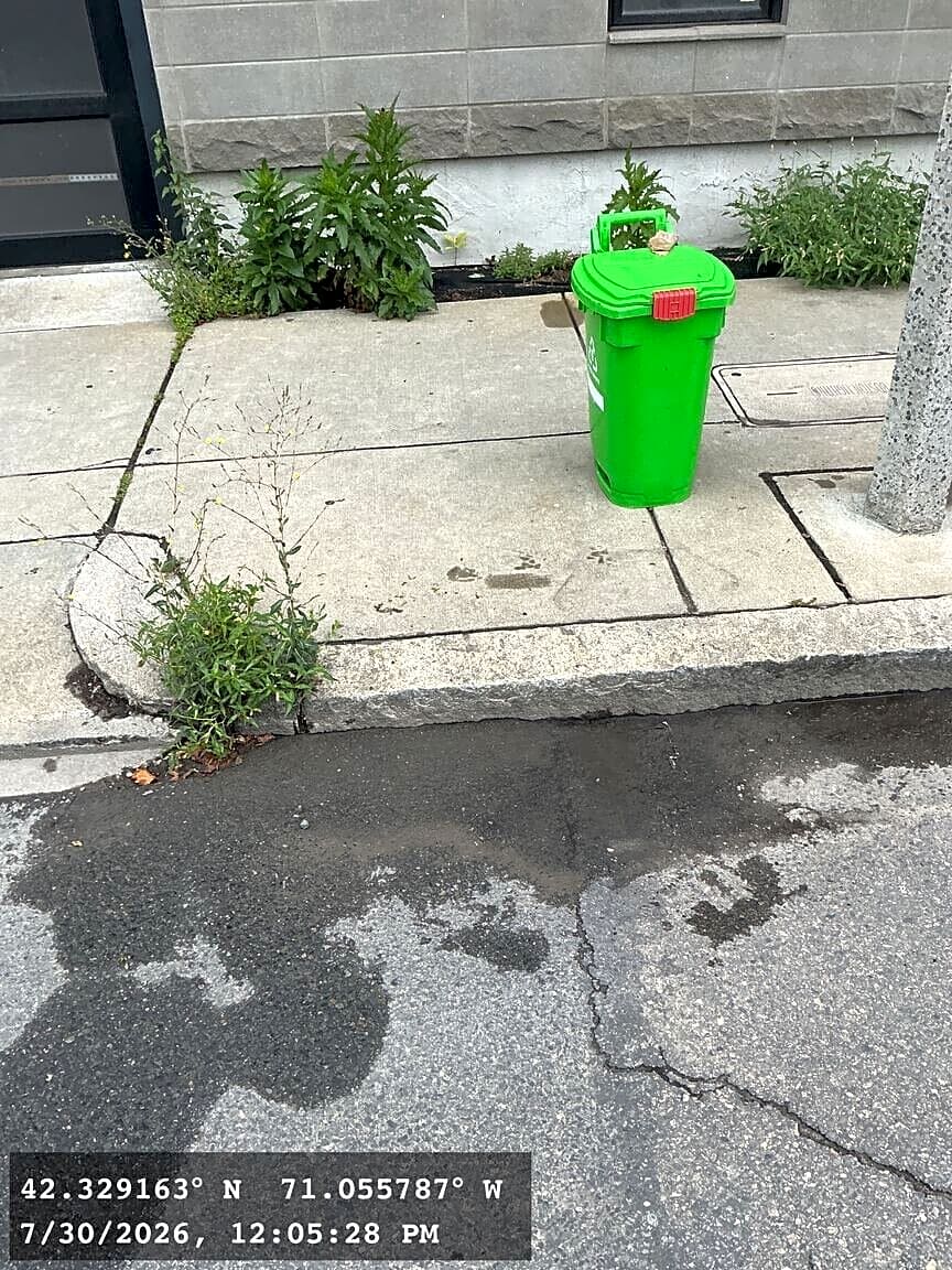 Image submitted with report