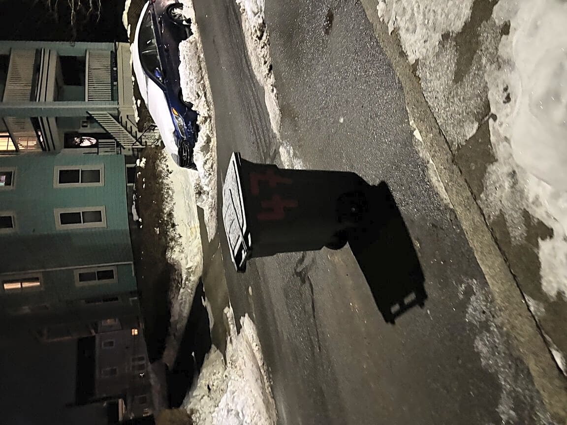 Image submitted with report