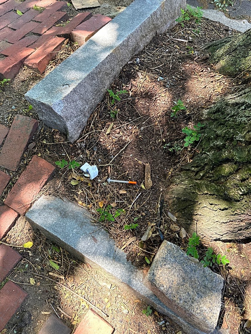 Image submitted with report