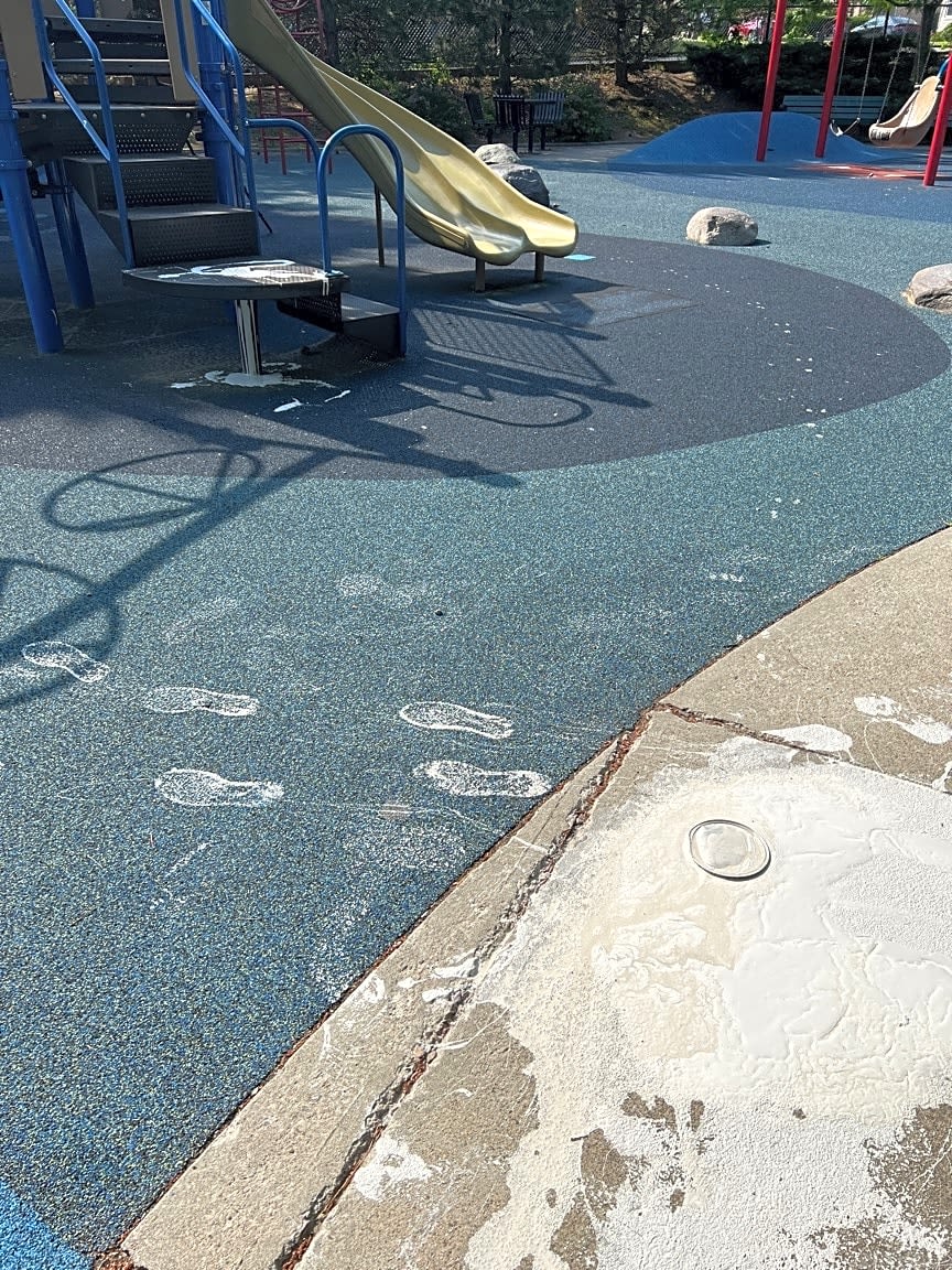 Image submitted with report