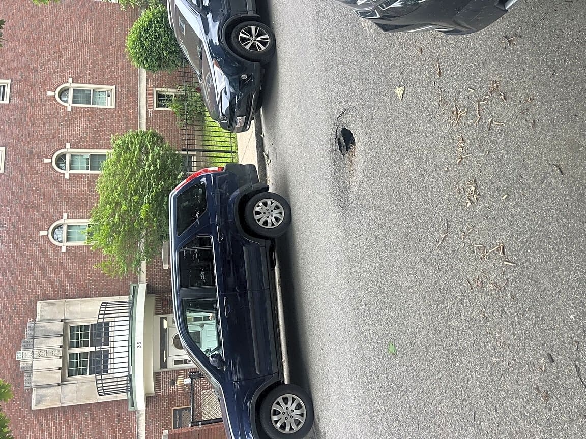 Image submitted with report