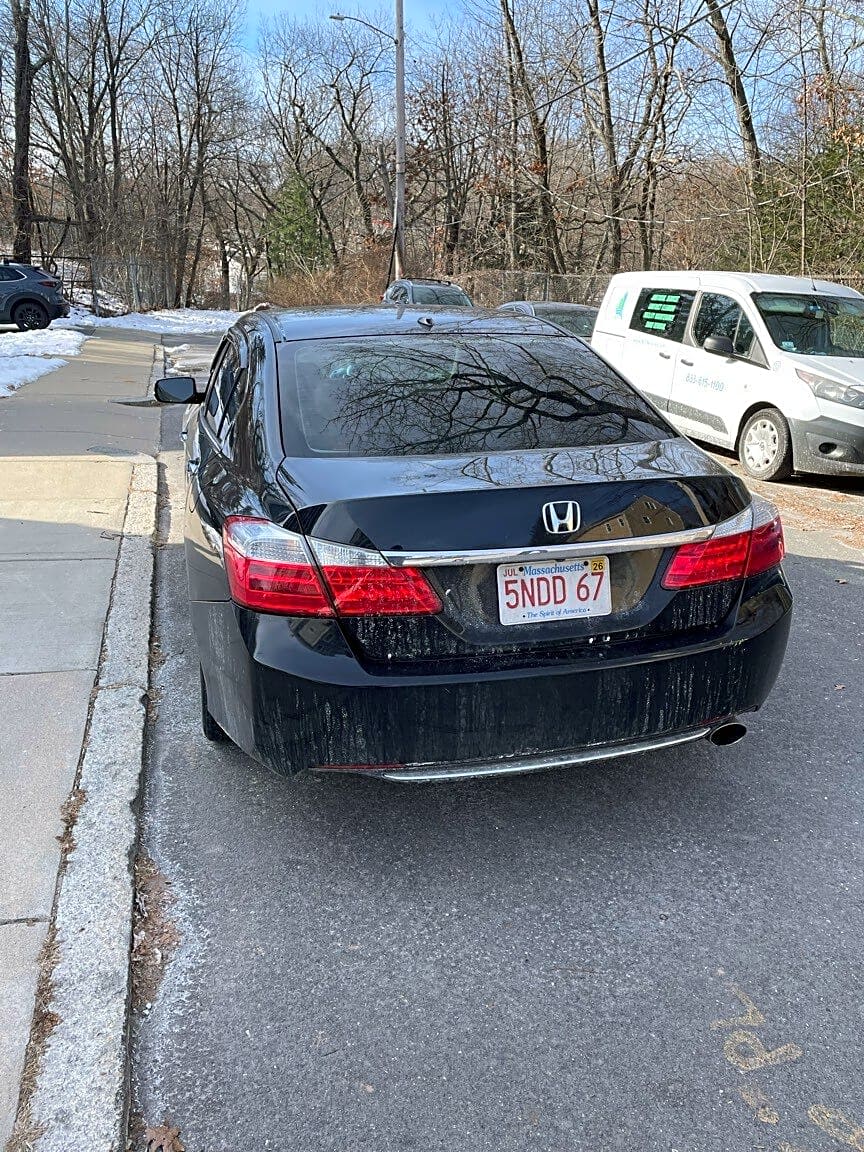 Image submitted with report