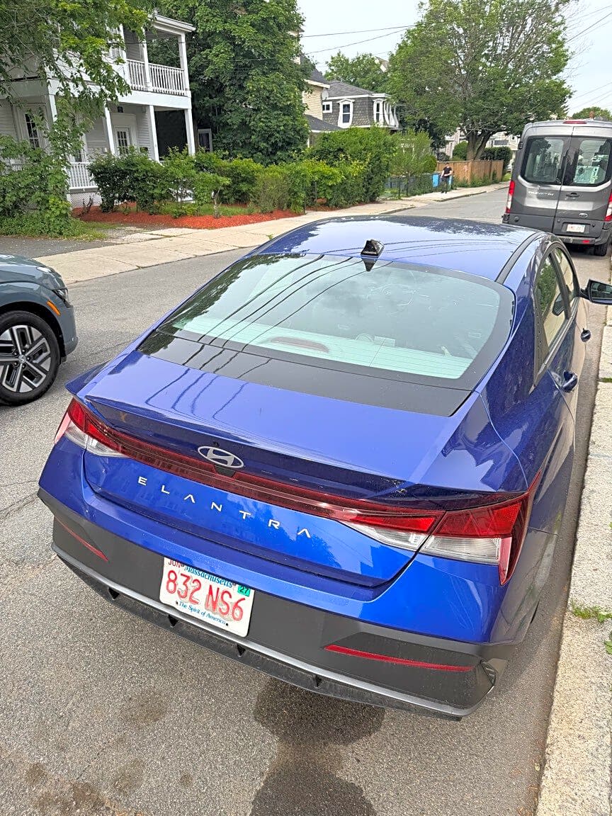 Image submitted with report