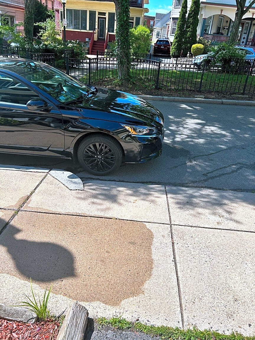 Image submitted with report