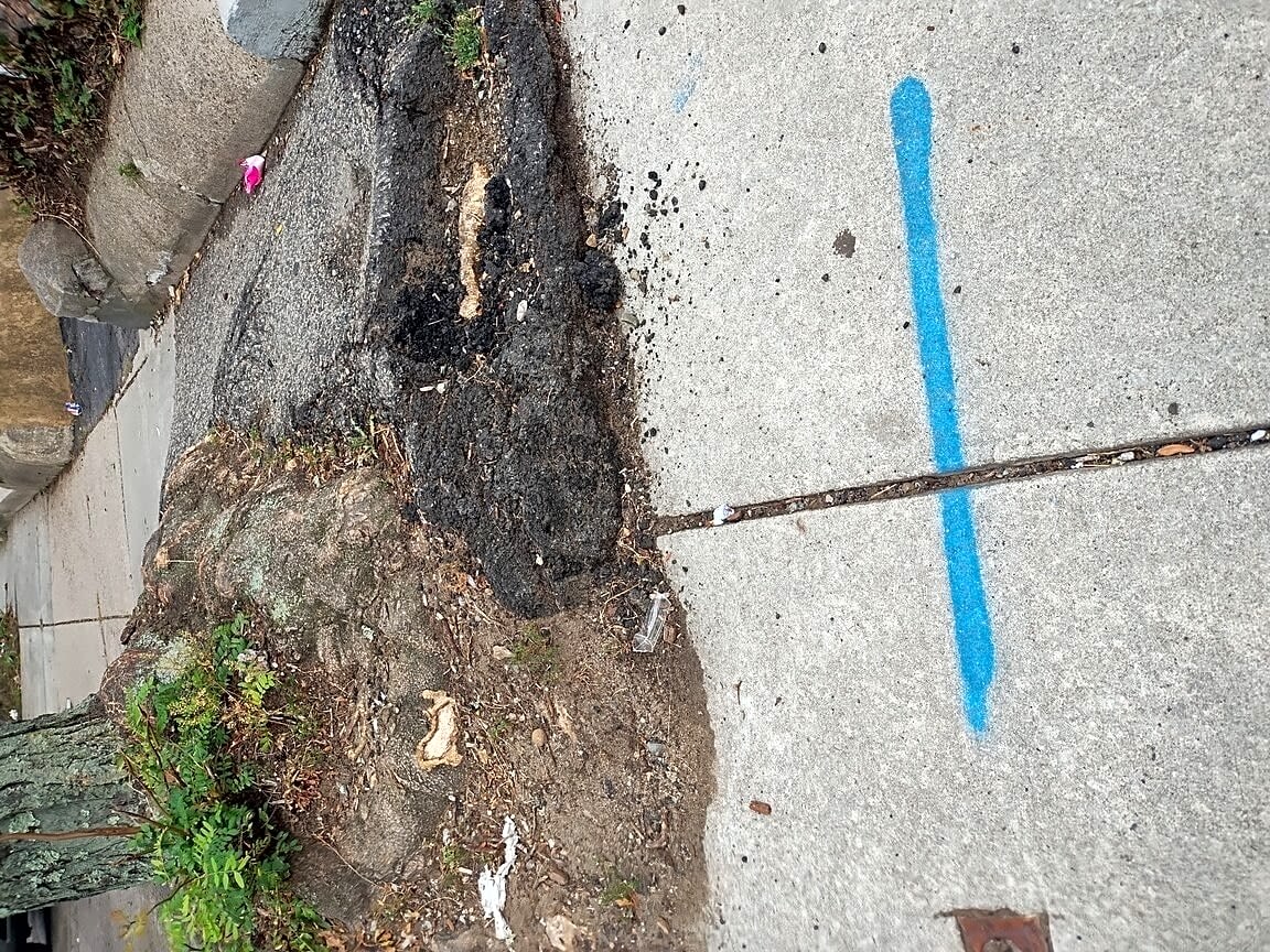 Image submitted with report