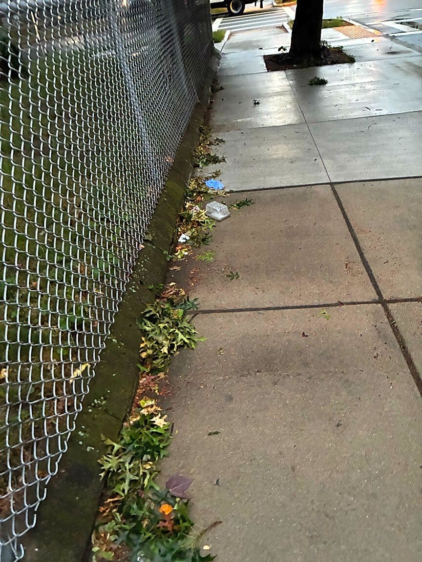 Image submitted with report