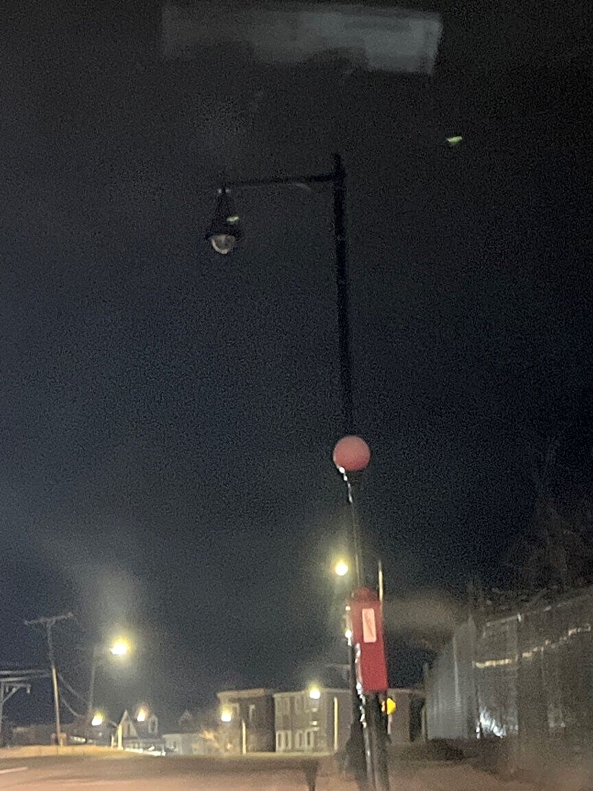 Image submitted with report