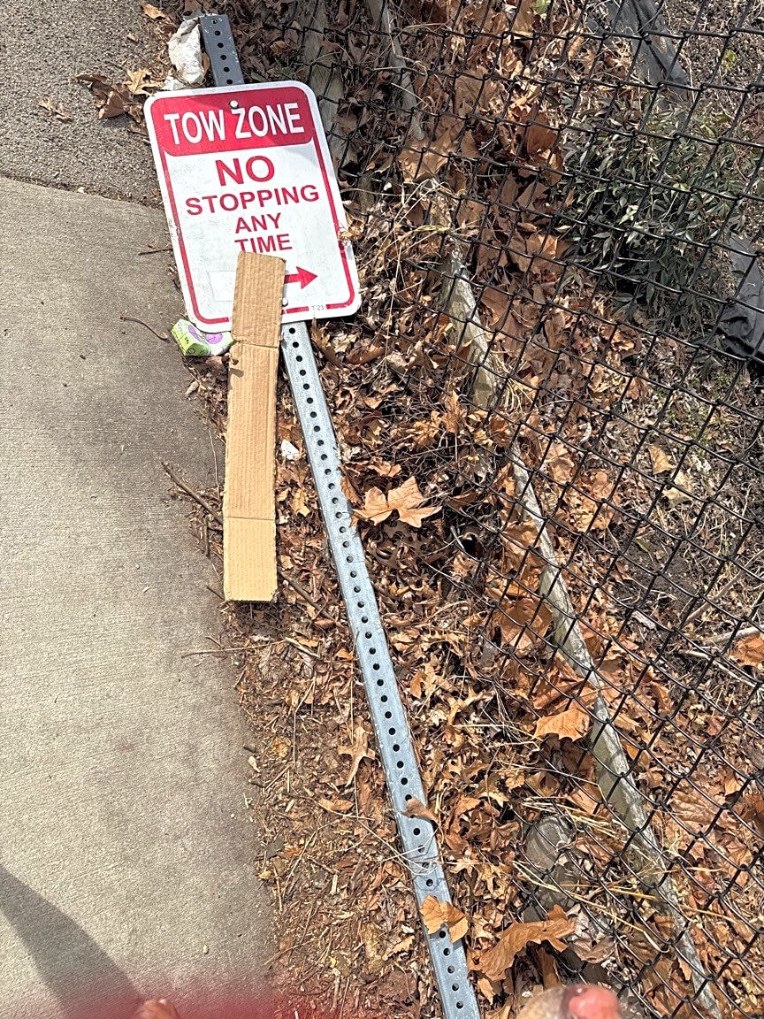 Image submitted with report