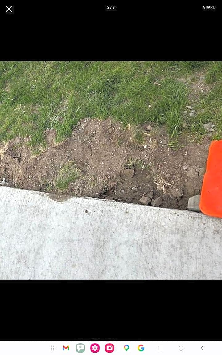 Image submitted with report