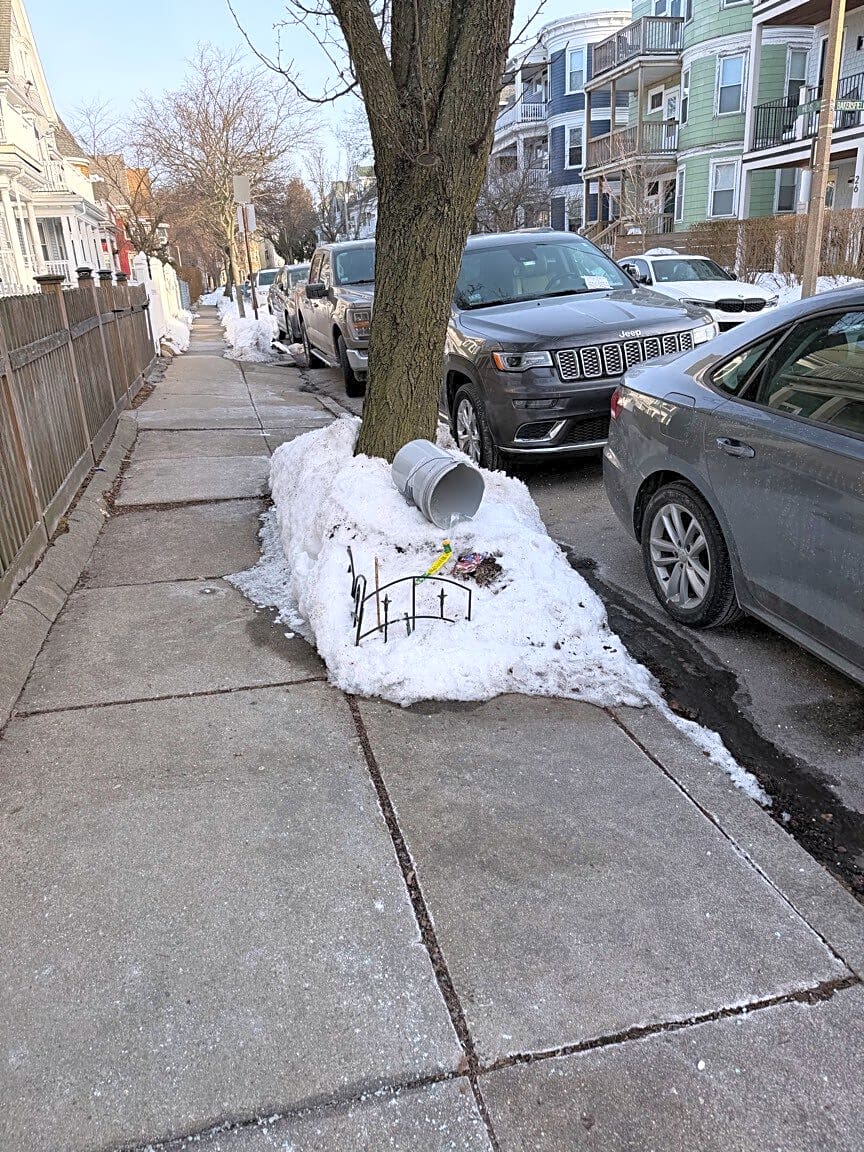 Image submitted with report