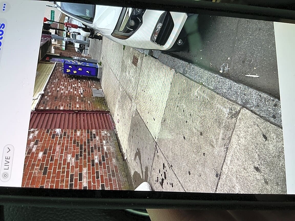 Image submitted with report