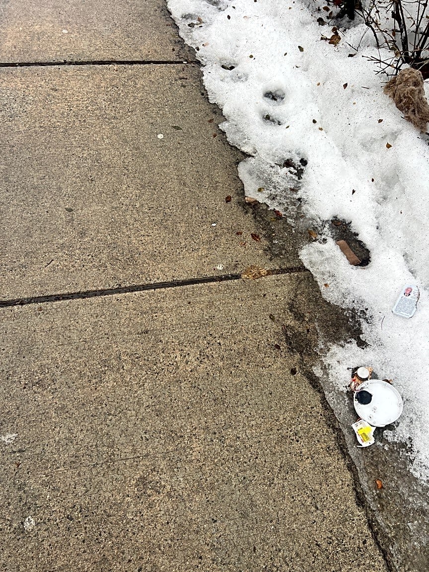 Image submitted with report