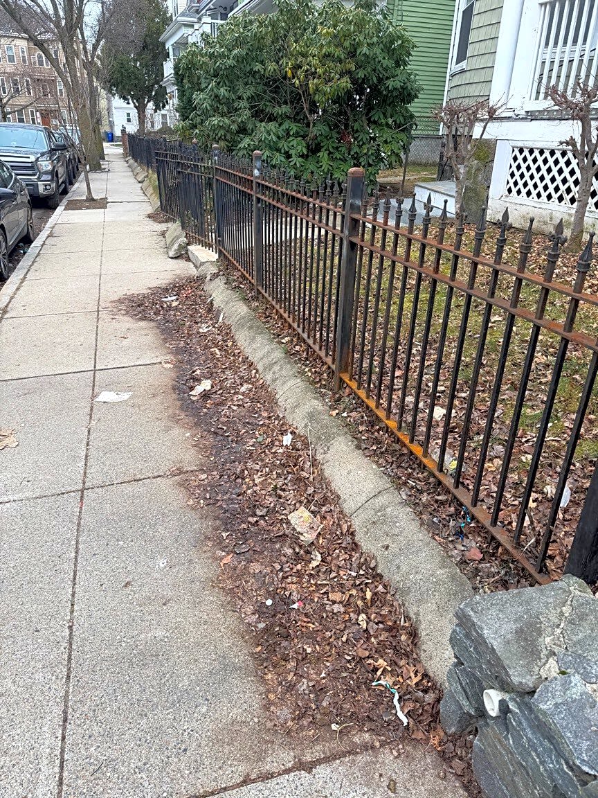 Image submitted with report