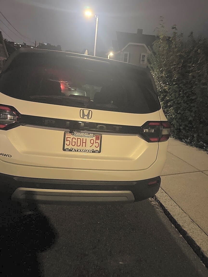 Image submitted with report