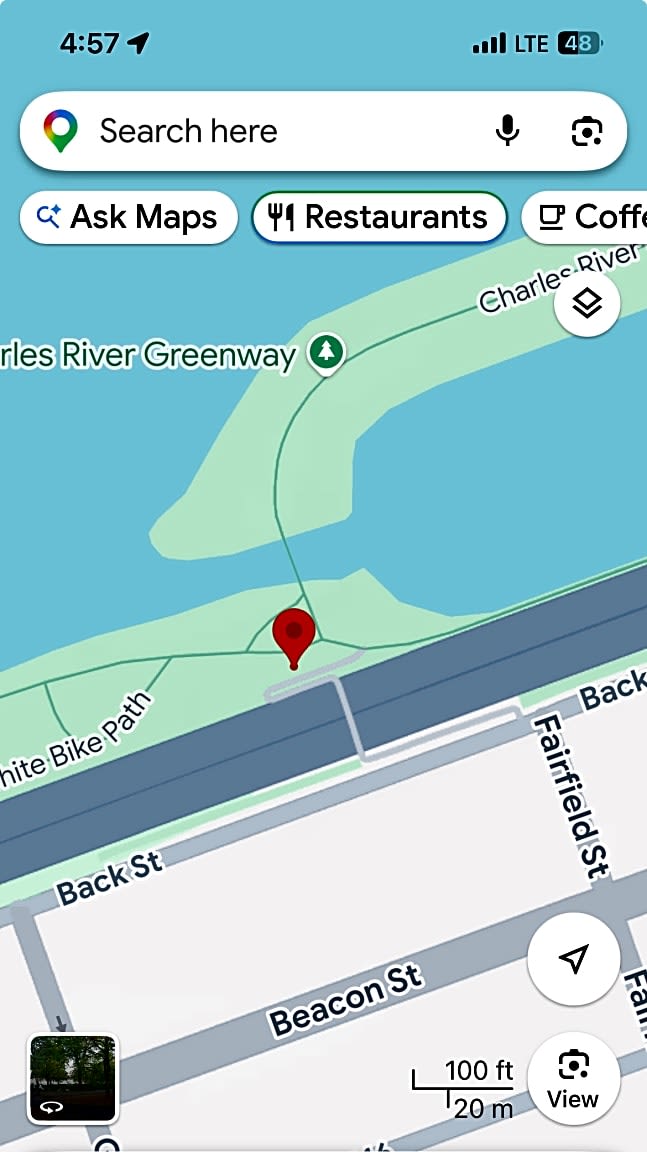 Image submitted with report