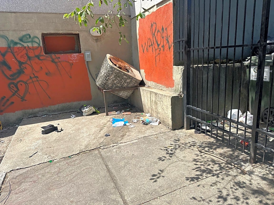 Image submitted with report