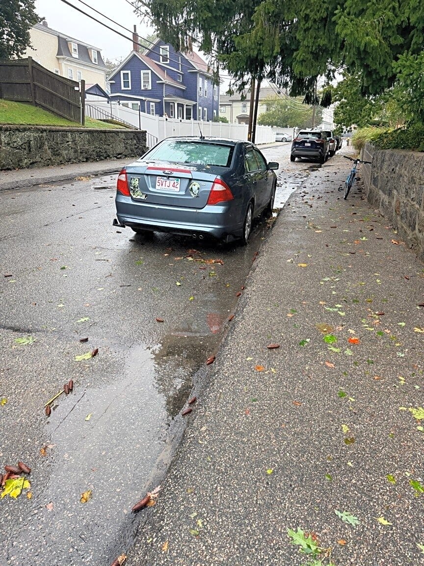 Image submitted with report