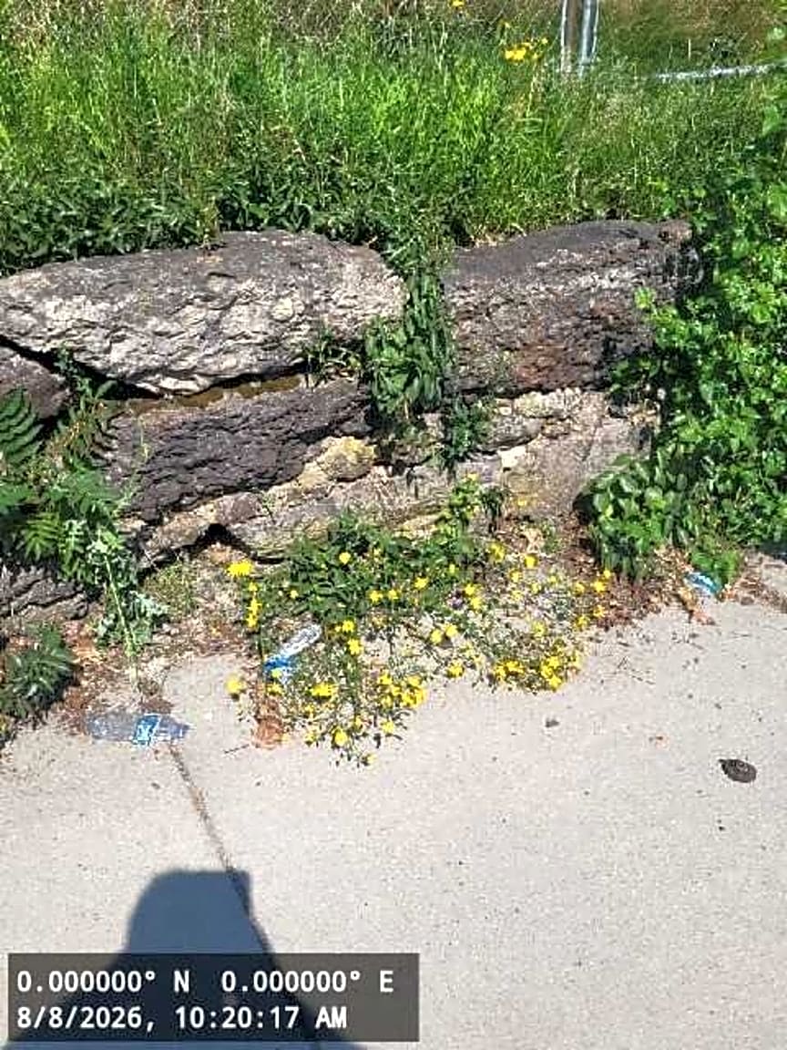 Image submitted with report