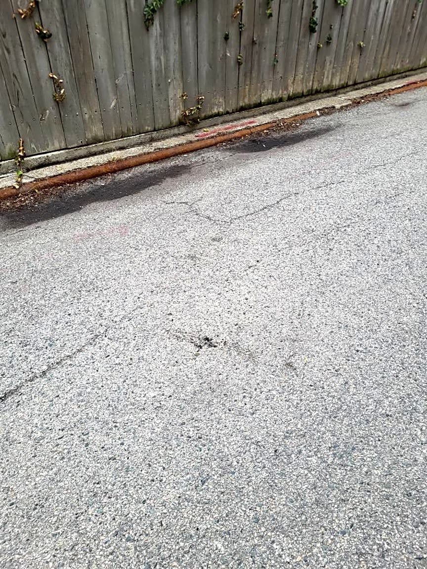 Image submitted with report