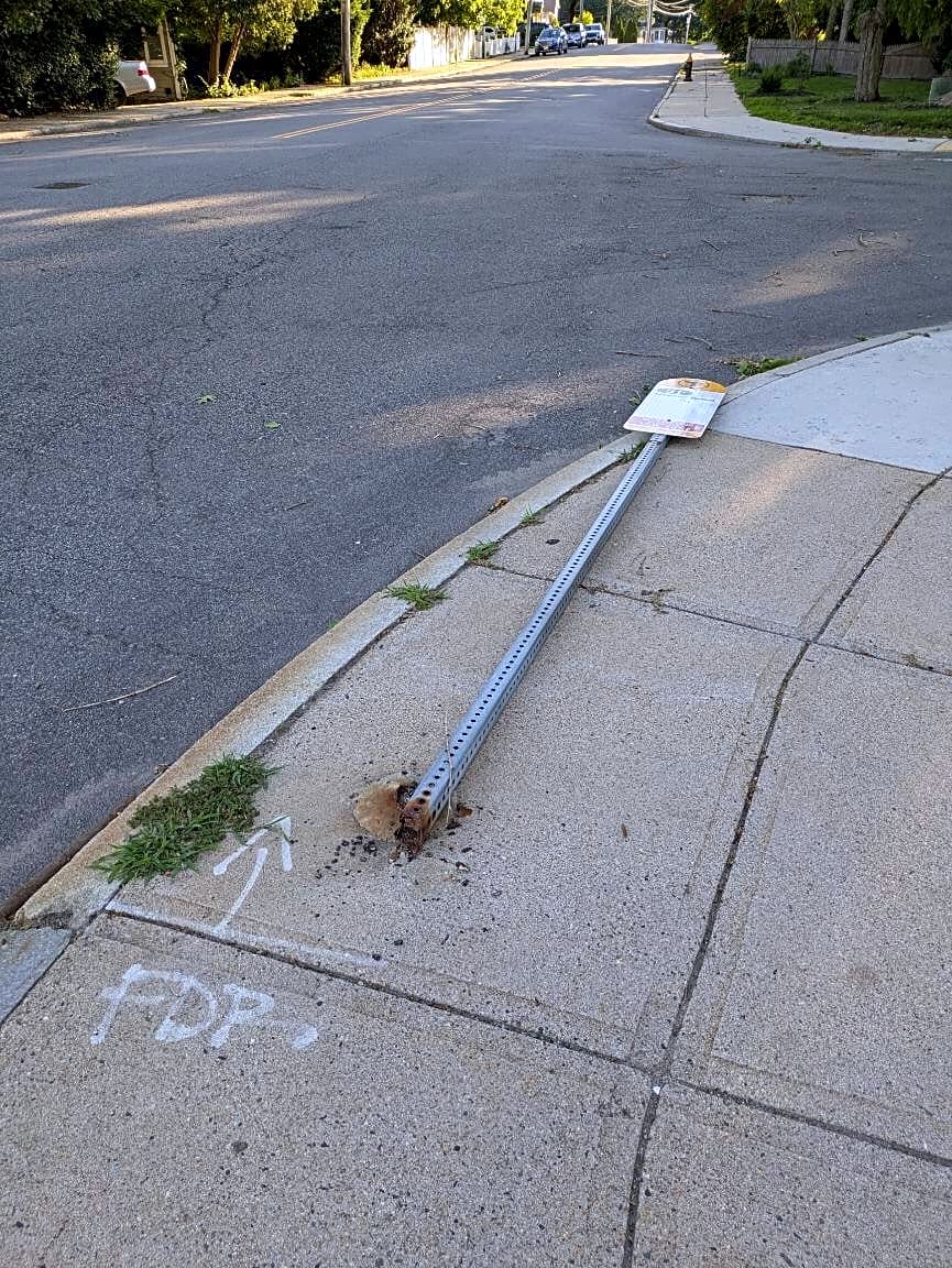 Image submitted with report