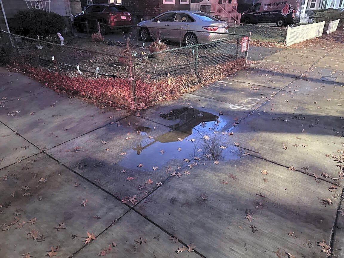 Image submitted with report