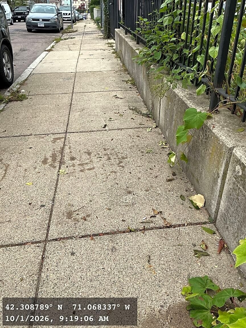 Image submitted with report