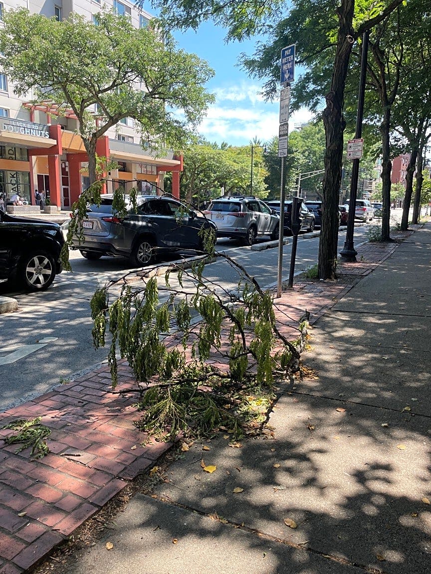 Image submitted with report