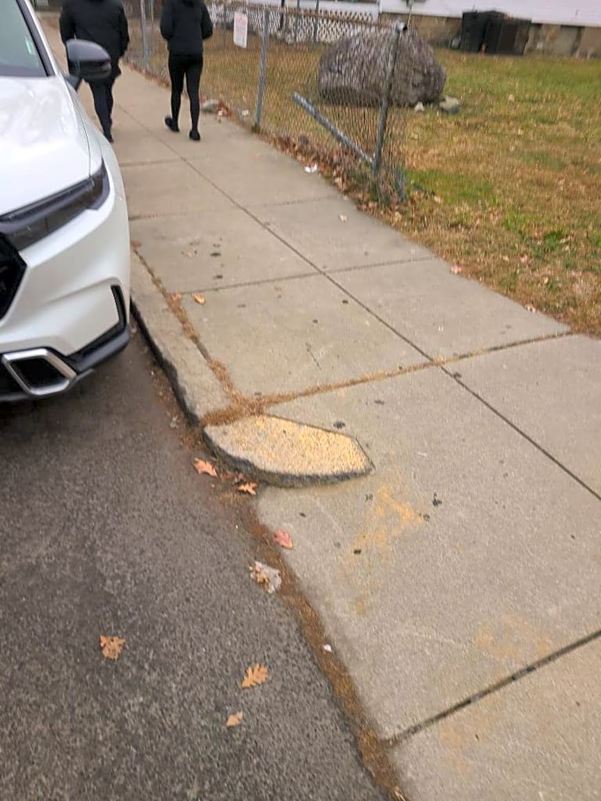 Image submitted with report