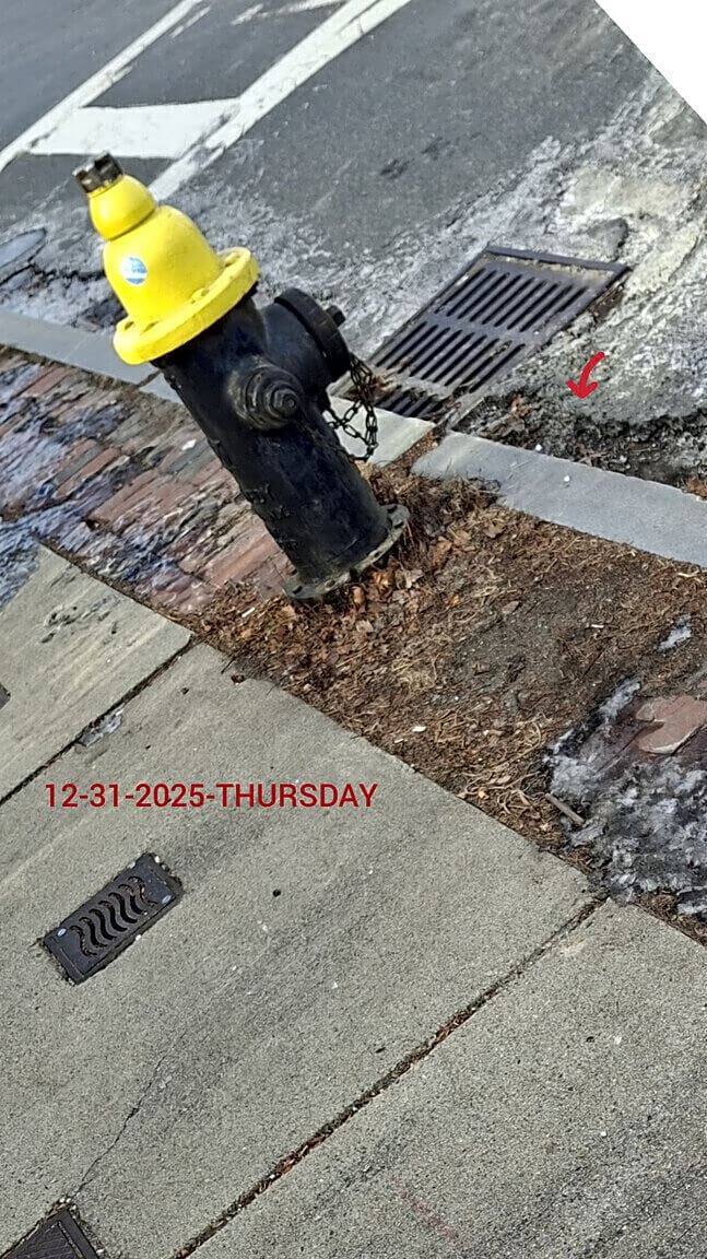 Image submitted with report