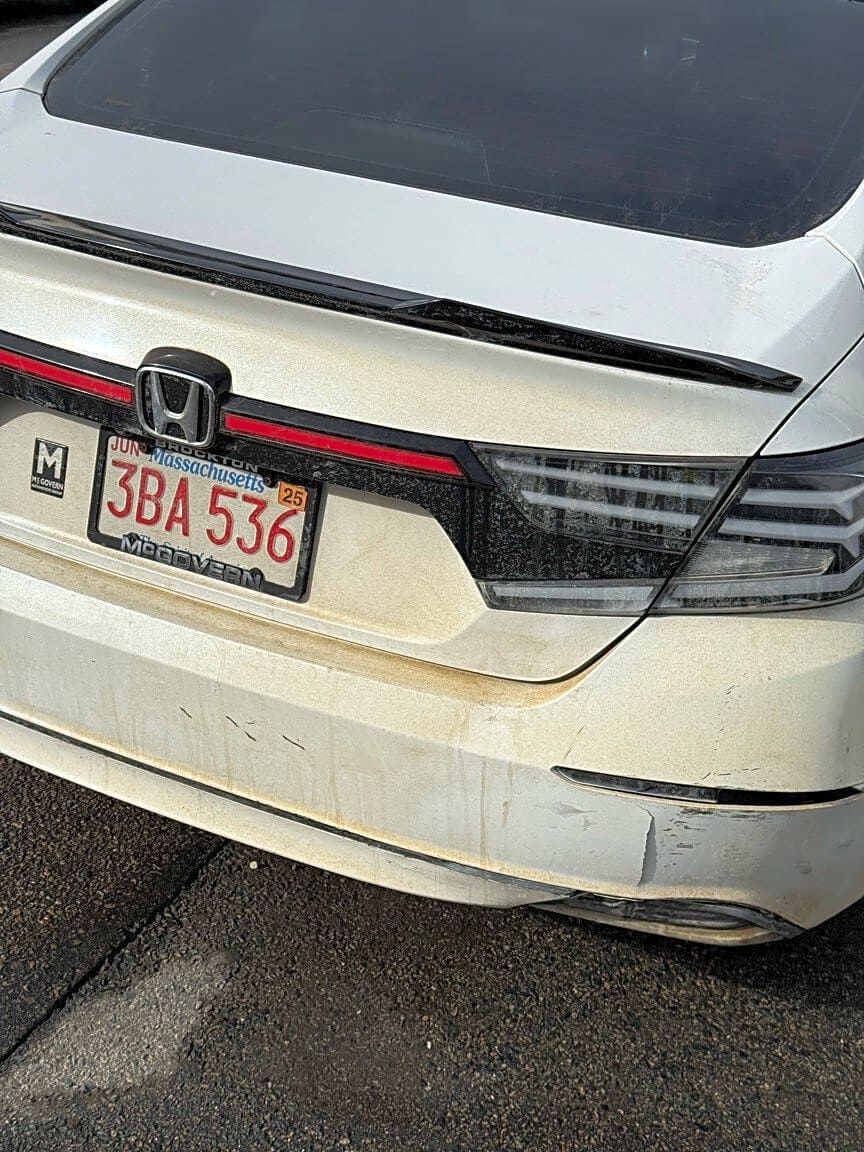 Image submitted with report