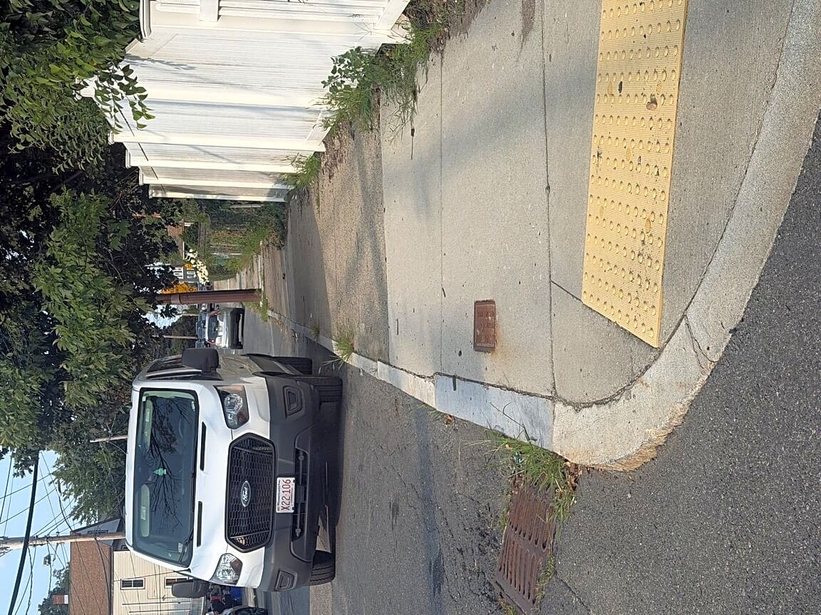 Image submitted with report