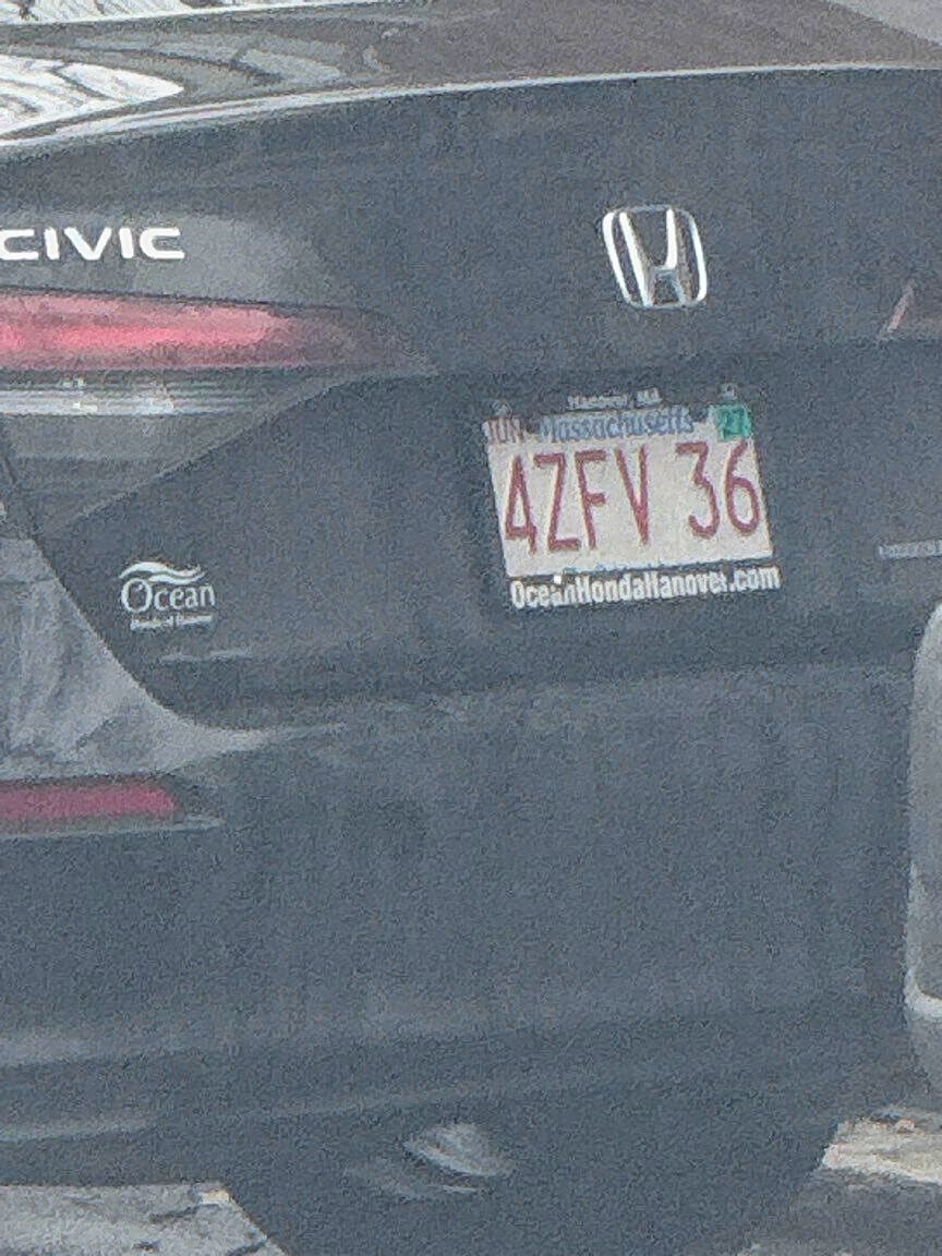 Image submitted with report