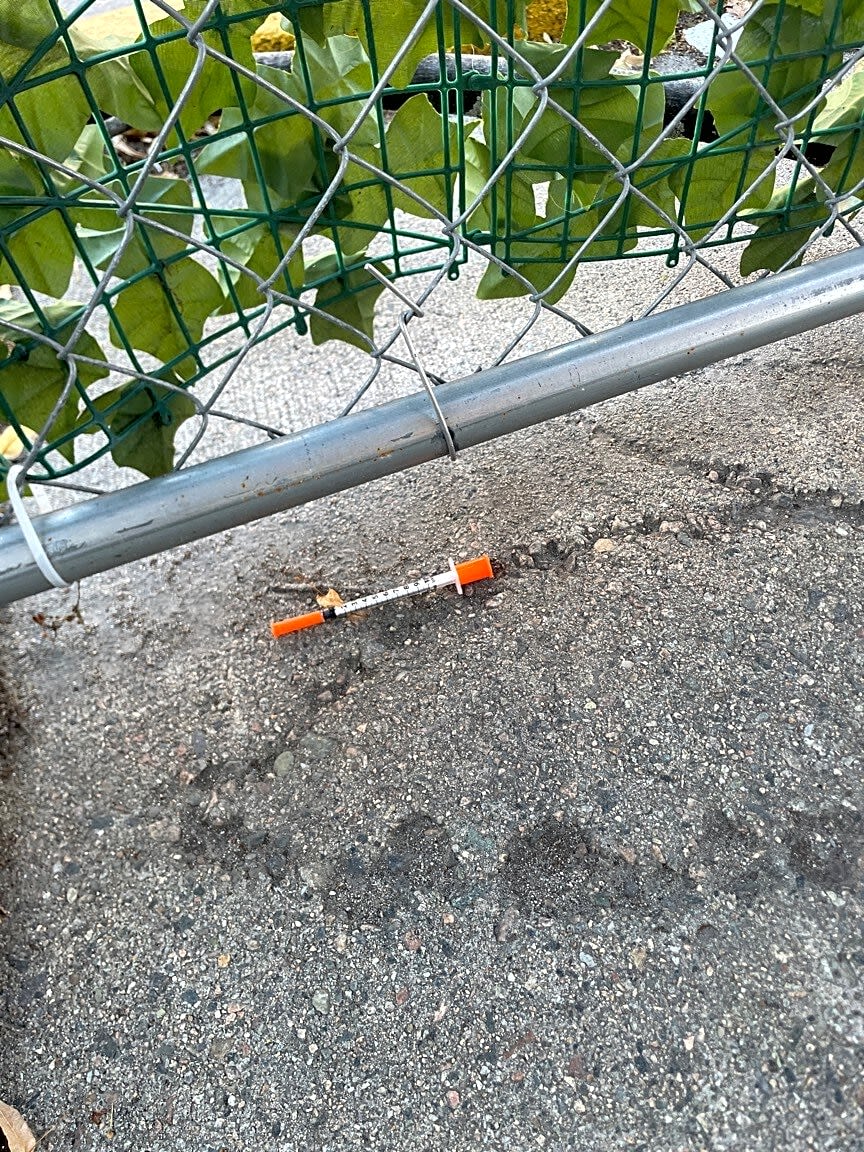 Image submitted with report