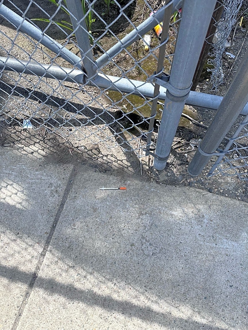 Image submitted with report