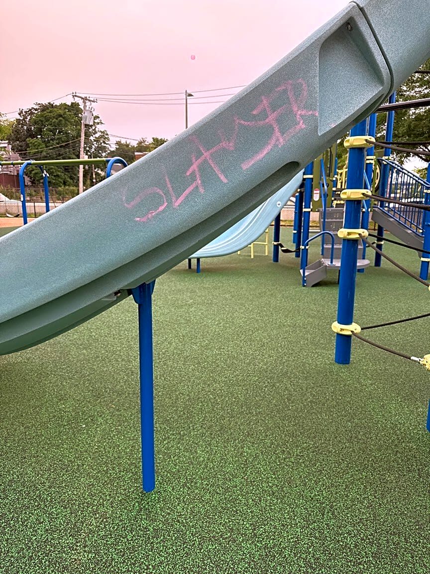 Image submitted with report