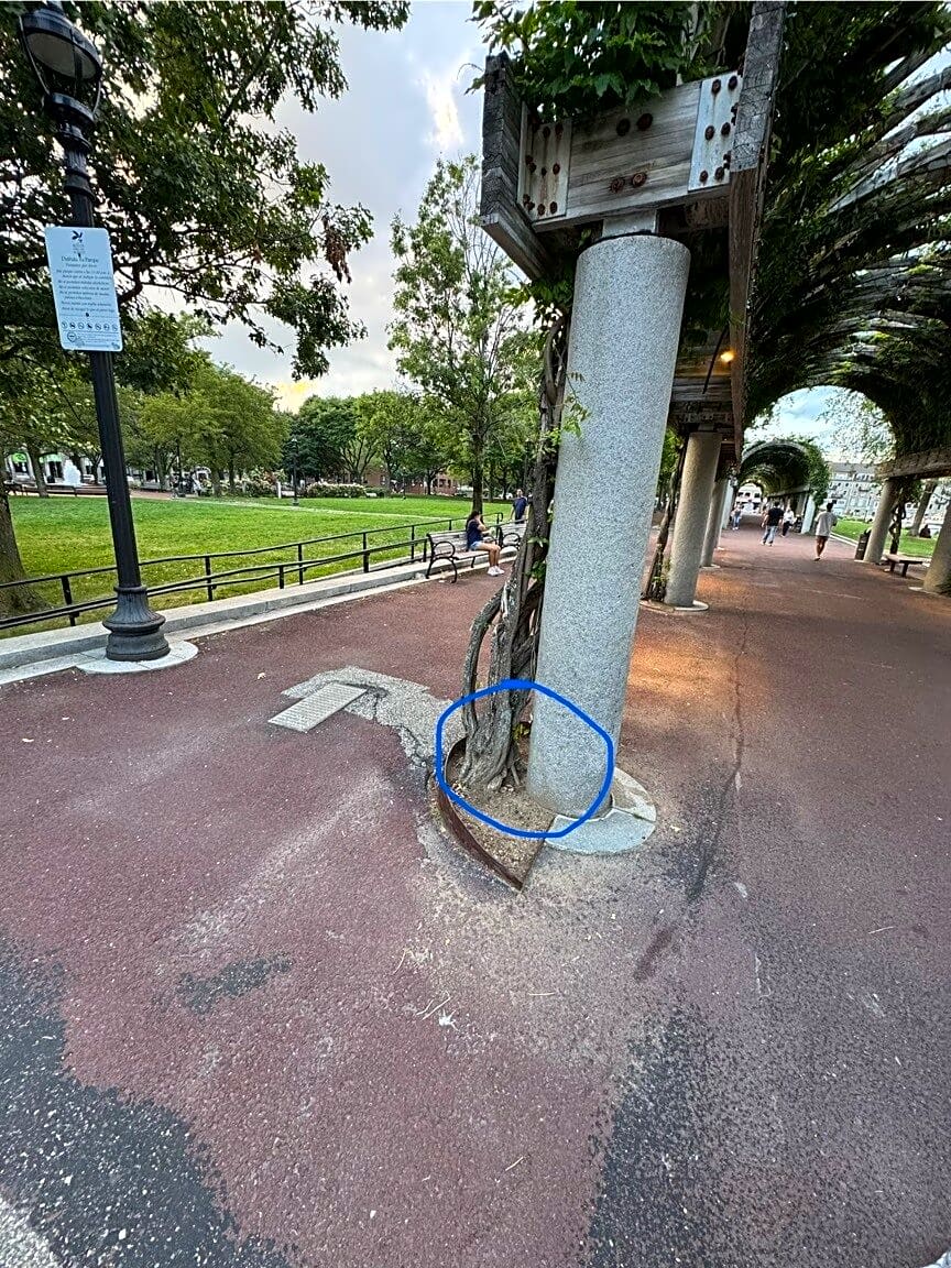 Image submitted with report