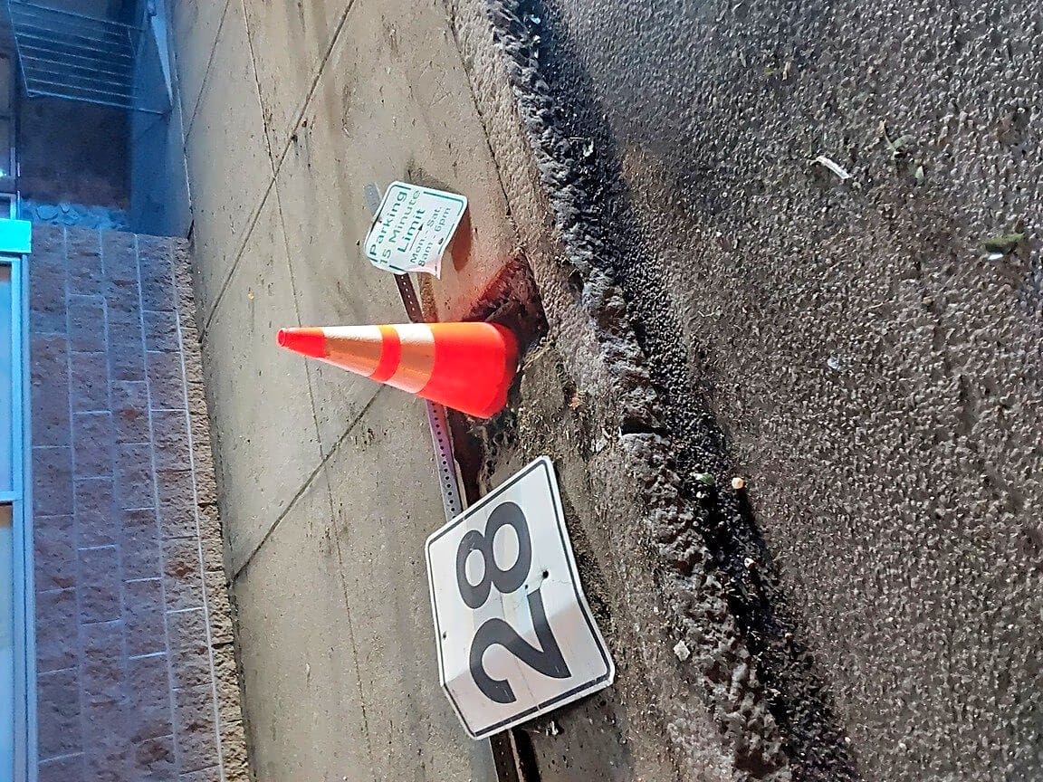 Image submitted with report