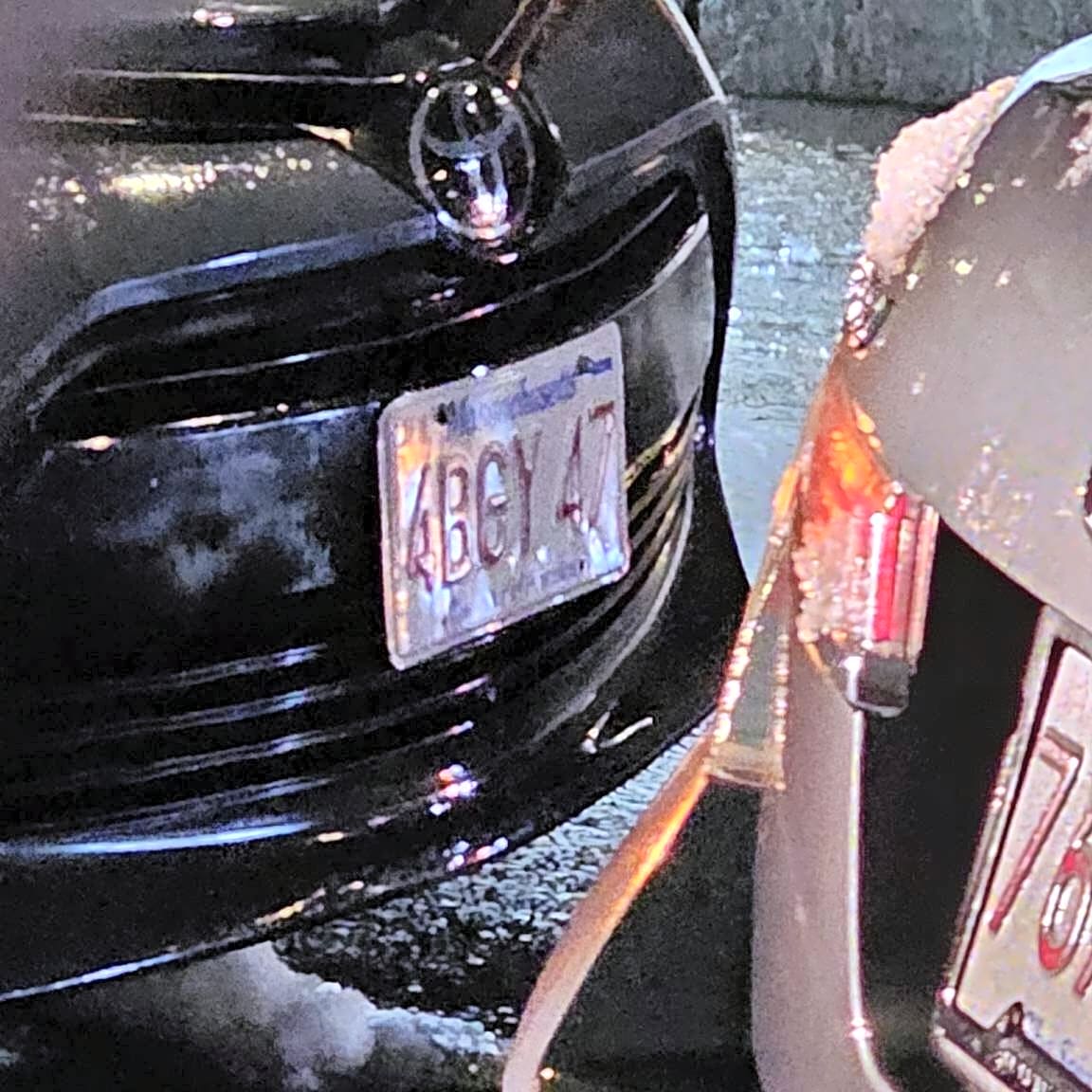 Image submitted with report