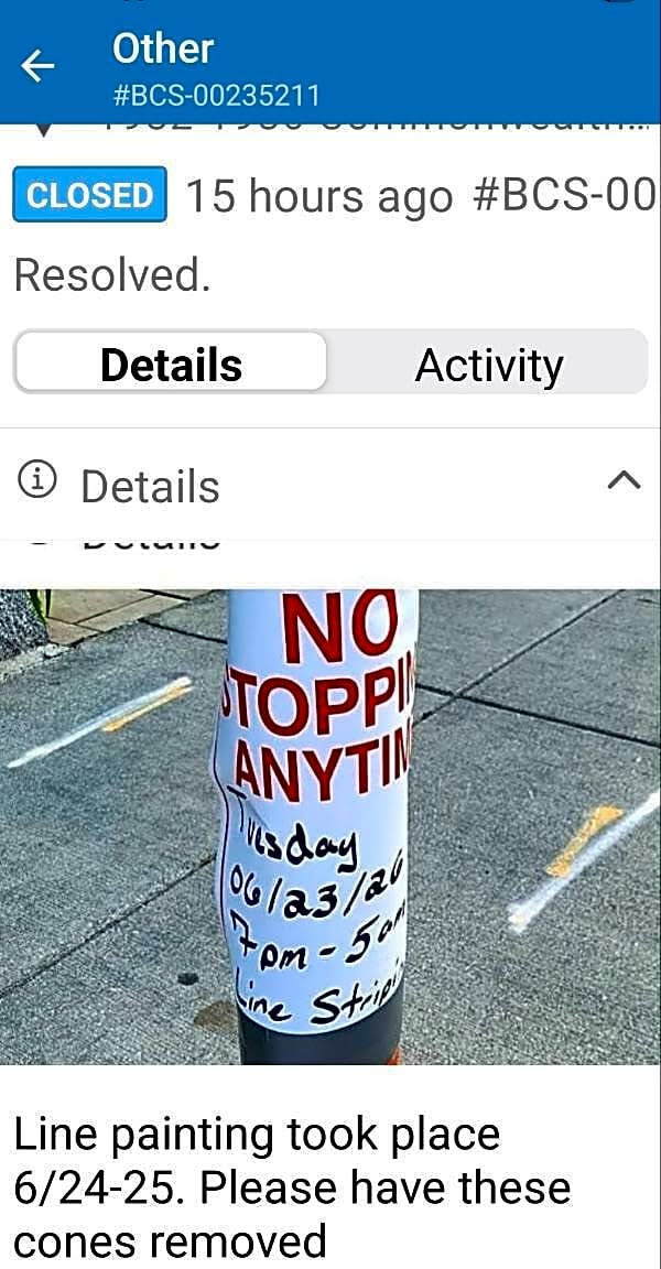 Image submitted with report