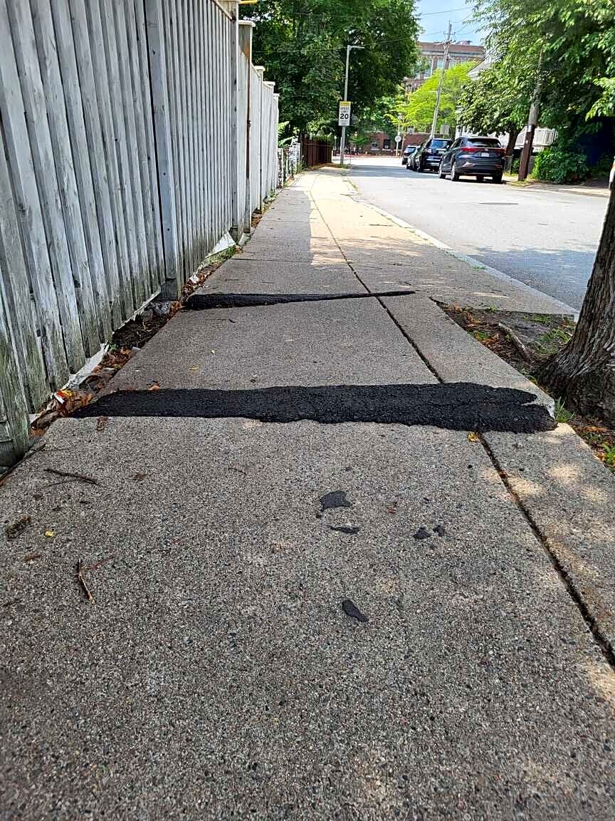 Image submitted with report