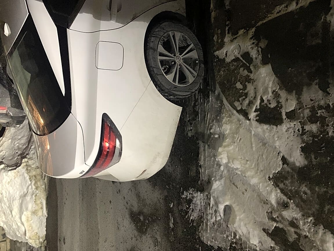 Image submitted with report