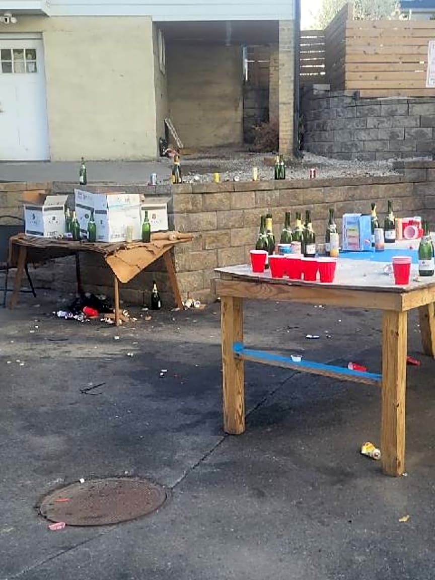 Image submitted with report