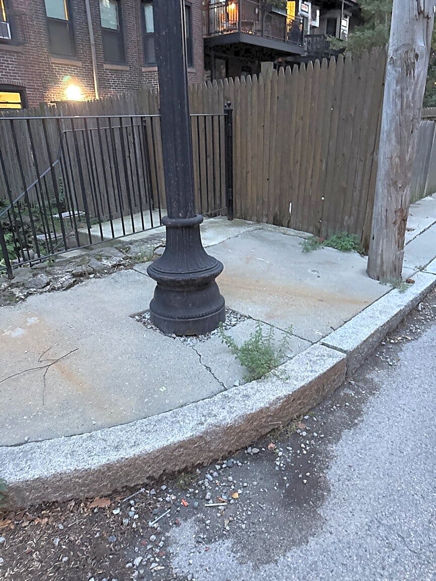Image submitted with report