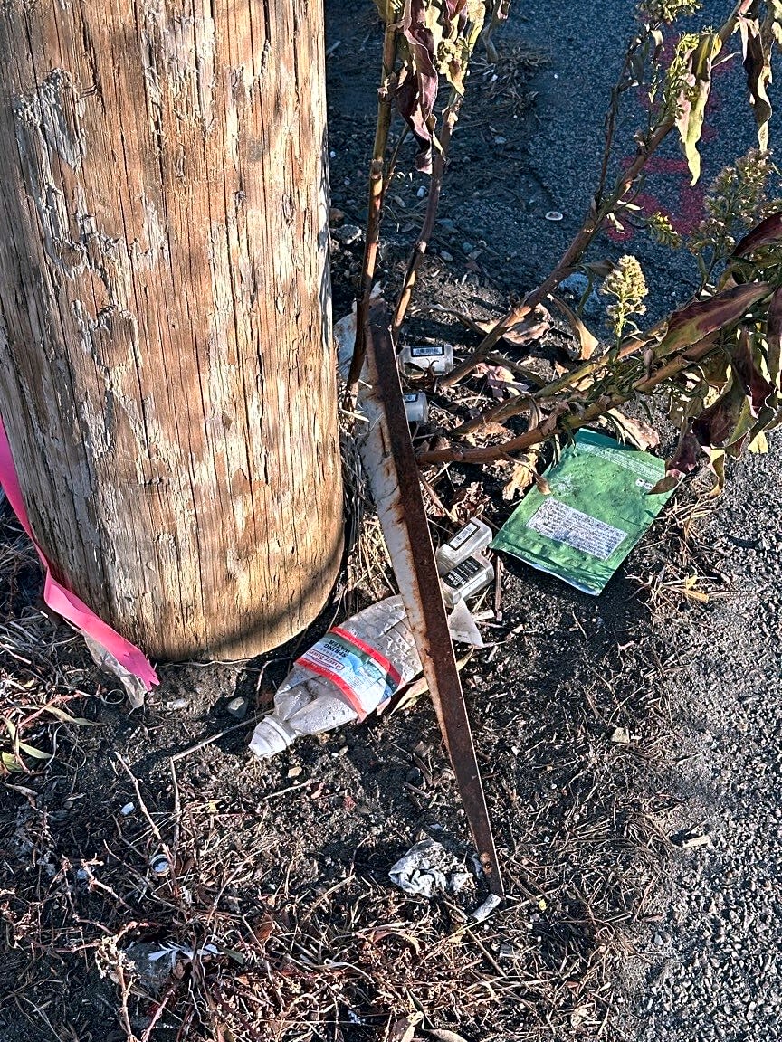 Image submitted with report