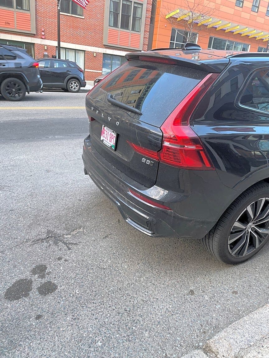 Image submitted with report