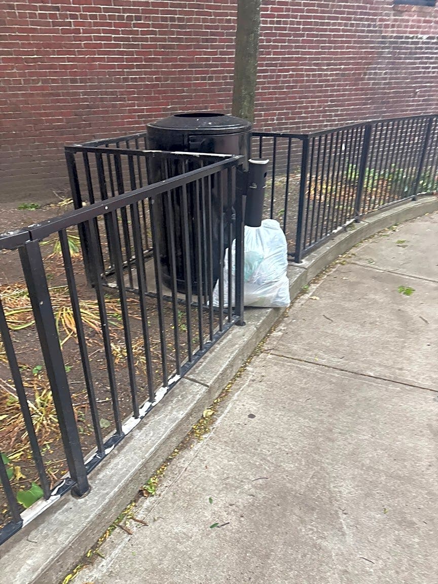 Image submitted with report