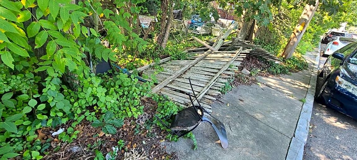 Image submitted with report