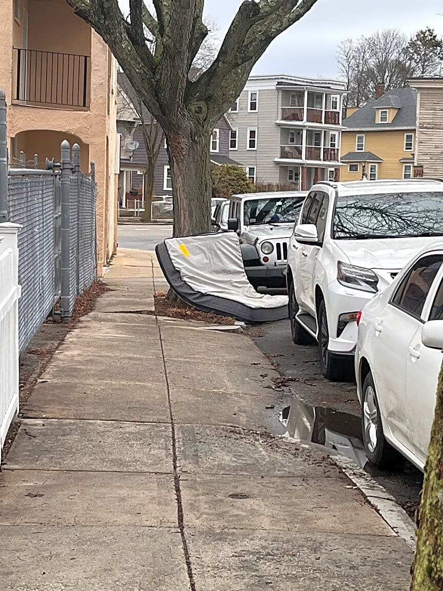 Image submitted with report