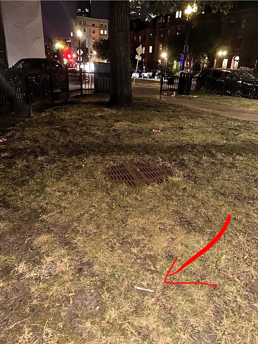 Image submitted with report